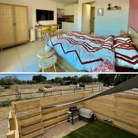 Apartment A L'ecurie Narbonne